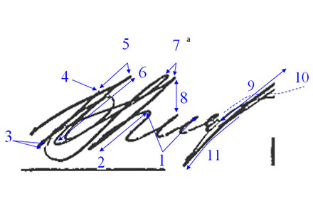 Почерковедческая экспертиза подписи